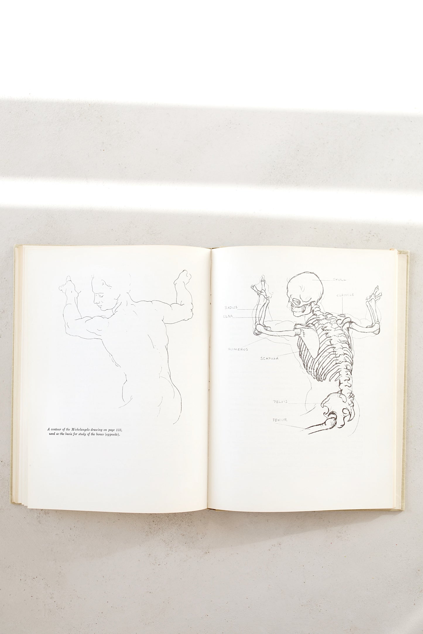 The Natural Way to Draw