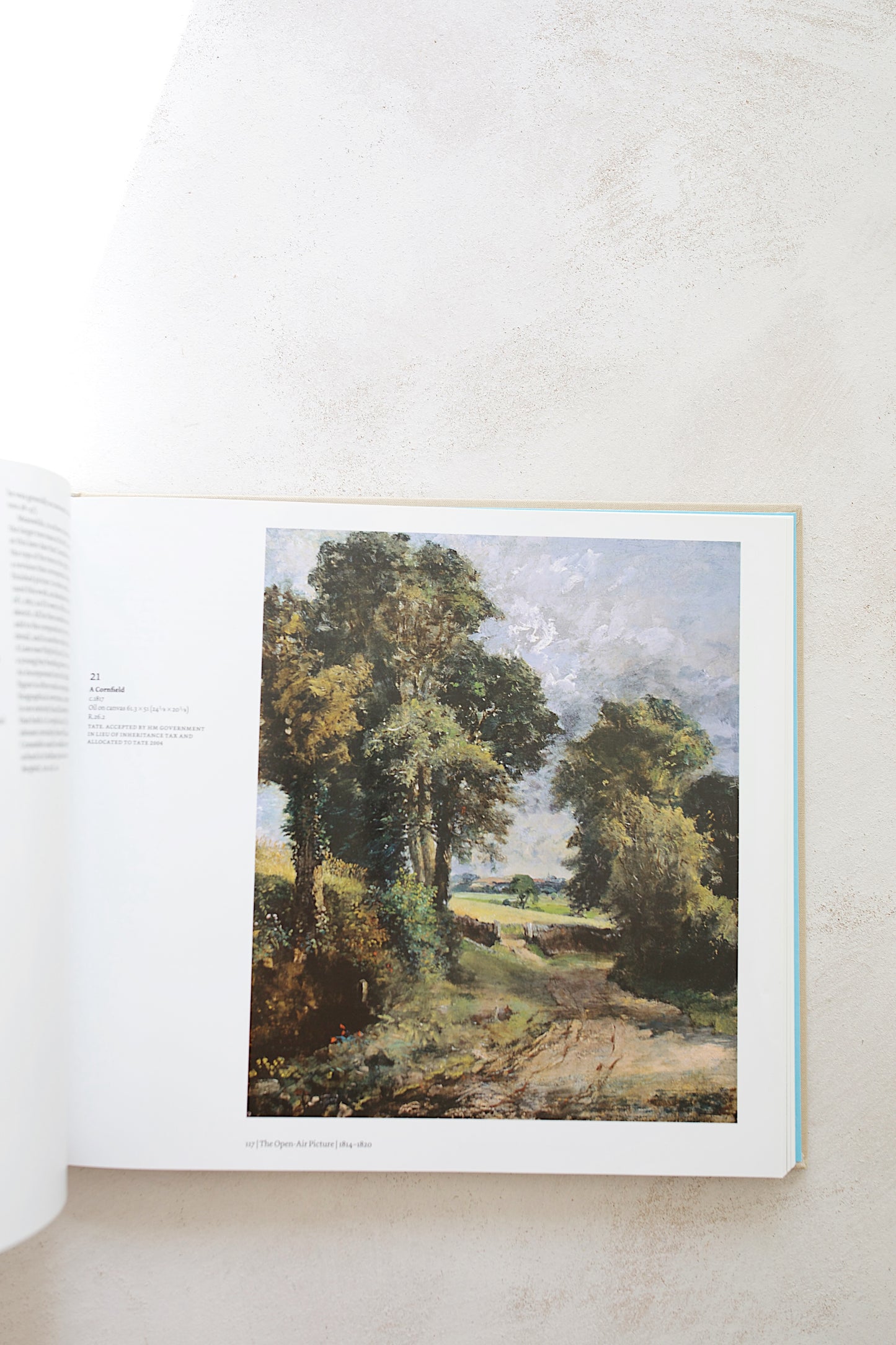 Constable: The Great Landscapes