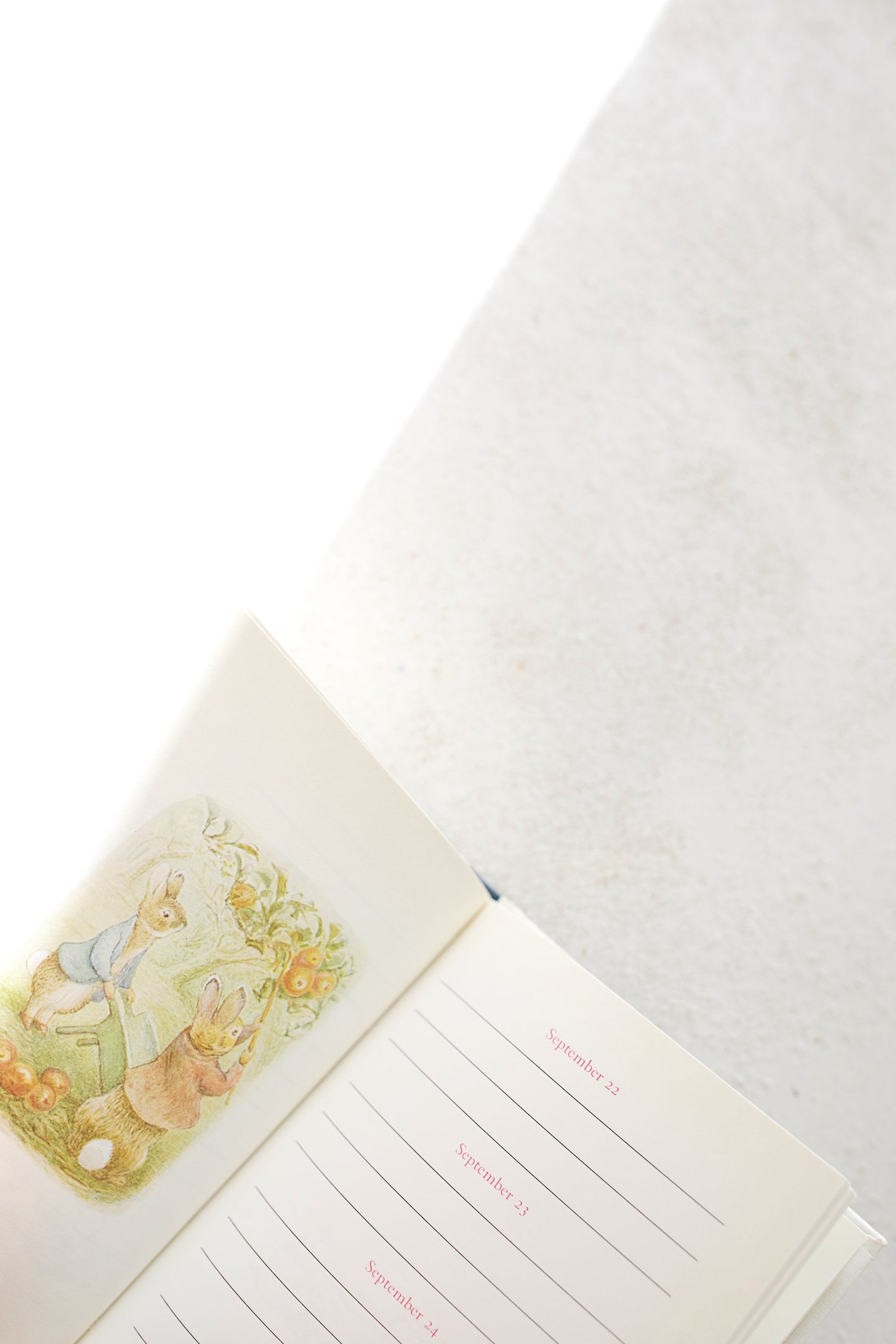 Beatrice Potter's Birthday Book