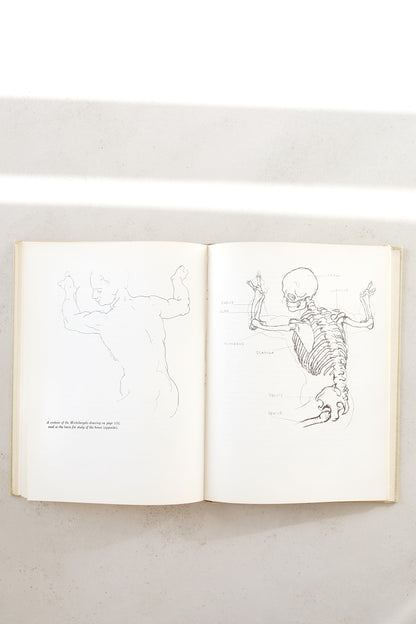 The Natural Way to Draw