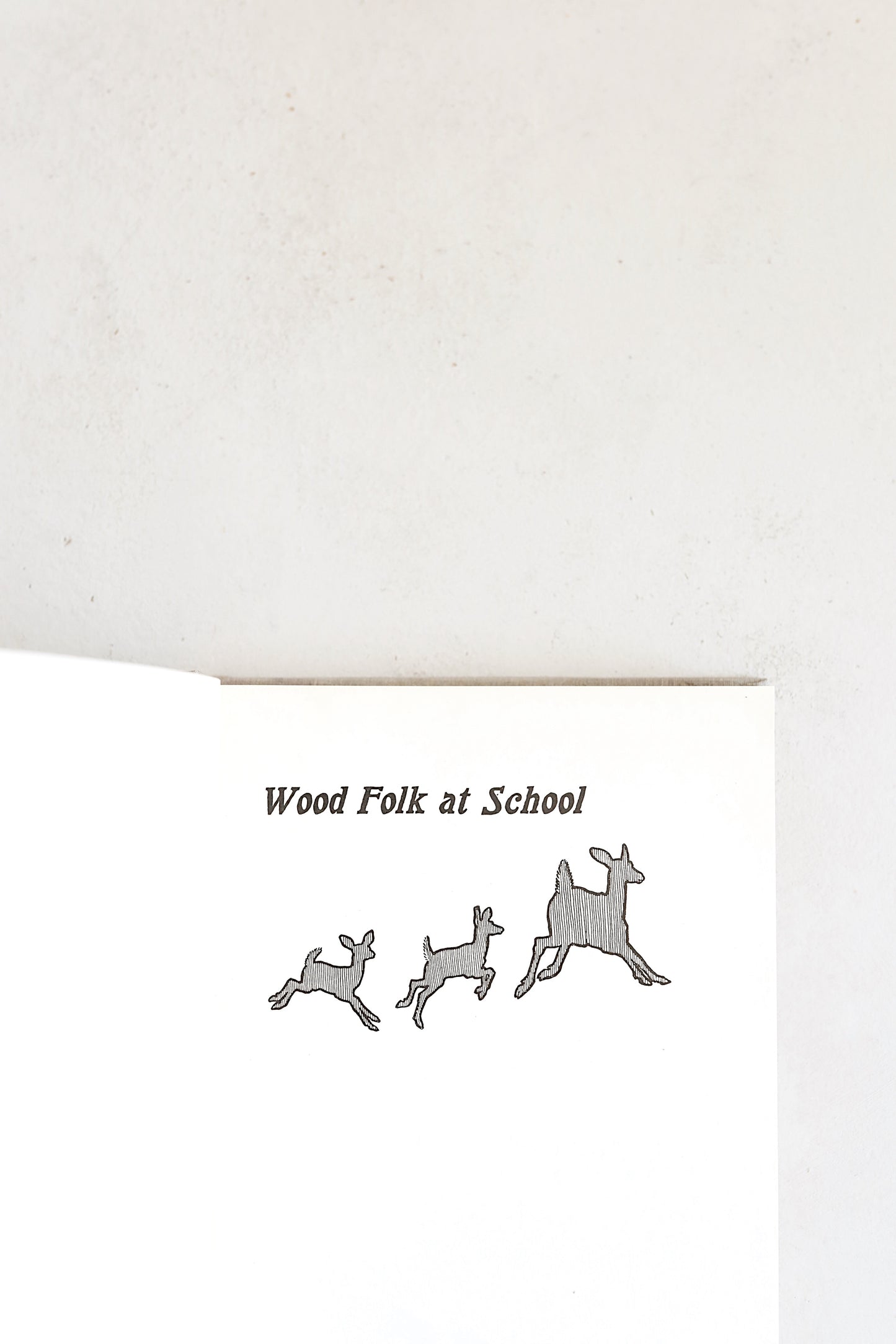 Wood Folk at School
