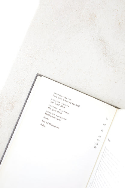 Rodin: His Sculpture, Drawings, and Watercolors